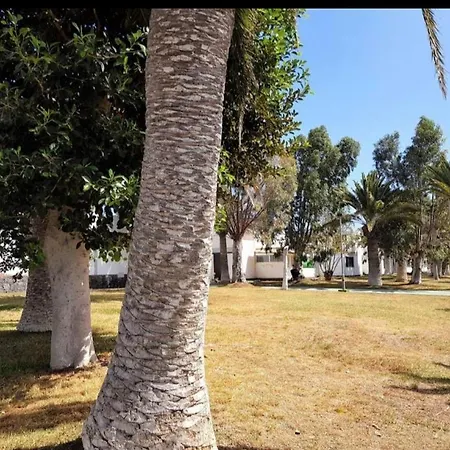 Maison L&s Tenerife 公寓 *